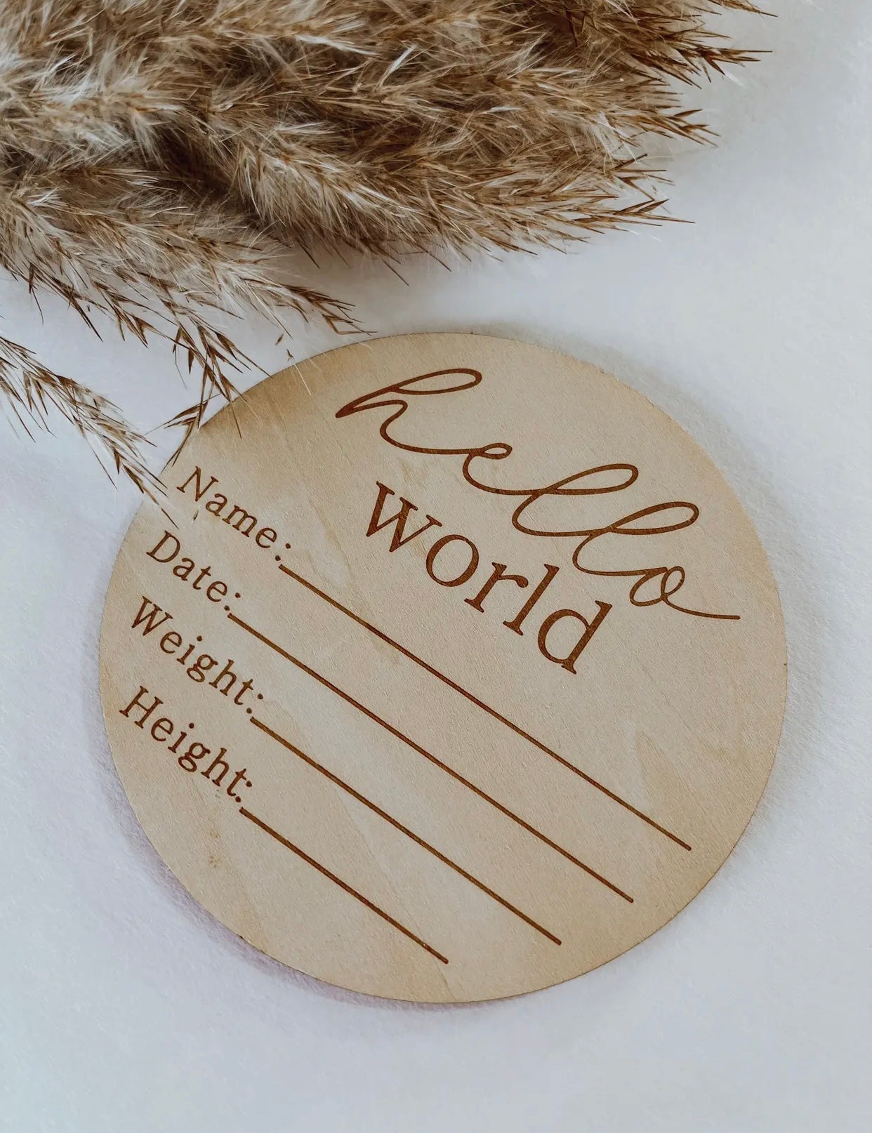 Hello World Birth Announcement Sign